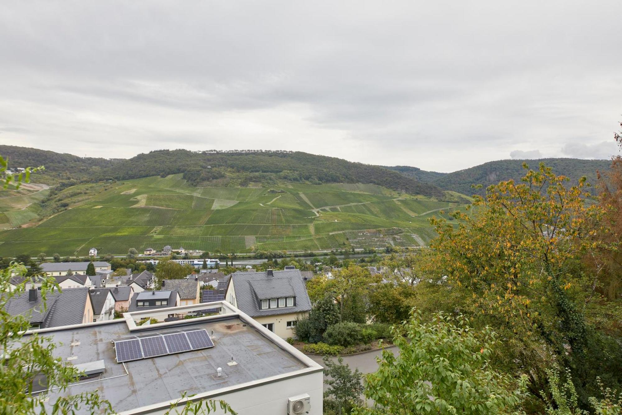 Mosel Panorama Apartment แบร์นคาสเทล-คืสท์ ภายนอก รูปภาพ